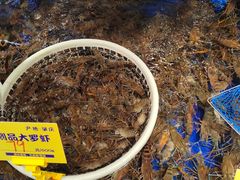 -79号渔船海鲜饭店(华强北店)