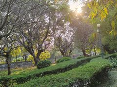-晓港公园