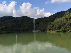 -广州白江湖森林公园