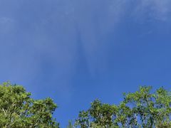 -马峦山郊野公园