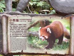 -长鹿旅游休博园