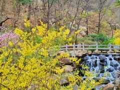 -天津盘山风景名胜区