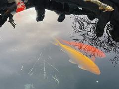 -西安市广仁寺