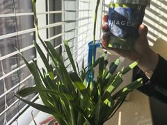 -霸王茶姬(东方新天地店)