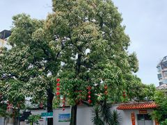 -司徒世家·兵马司林粽球(牌坊街店)