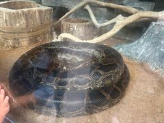 -黔灵山公园-南门售票处