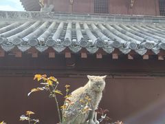 -长春观