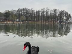 -武汉动物园