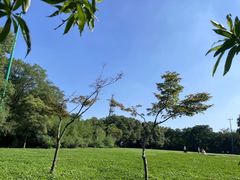 -蜀冈西峰生态公园