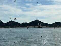 -海驴岛(荣成市)