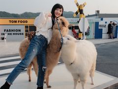 -Blue Concept Cafe&Farm·關於藍