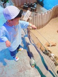 -酷嗒动物文化乐园(cutezoo西溪乐天城店)