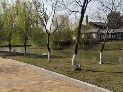 -八大山人梅湖景区