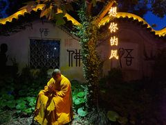 -印象普陀