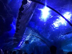 -多彩贵州城极地海洋世界