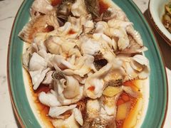 -大榕树下顺德菜(融创茂店)