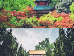 -岳麓山风景名胜区