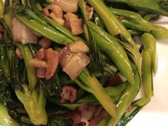 -锦粤宫·精致粤菜(深圳北站店)