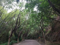 -滴水岩森林公园