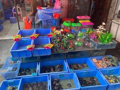 -清平路水族市场
