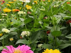 -长春公园(普阳街道)