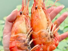 -水岸居湖景农家乐·阳澄湖大闸蟹