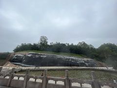 -三水森林公园