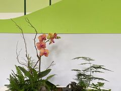 -杭州植物园