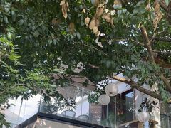 -云里小坐·小院里·团建·宴请·下午茶(三圣乡店)