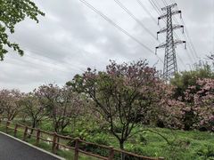 -中山大学广州校区南校园怀士堂