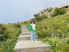 -白草畔自然风景区