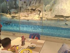-帝企鹅自助餐厅•儿童岛•真企鹅(长隆企鹅酒店)