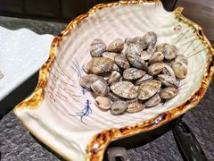 红岛花蛤-龙门养心粥火锅(祥恒广场店)