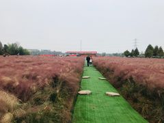 -军山湖云水间生态农业旅游景区