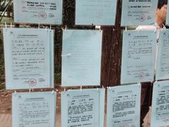 -人民公园-相亲角