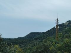 -北京西山国家森林公园