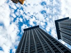 -后卫寨猫耳朵(后卫寨店)