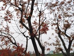 -昆山城市公园