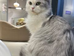 -怪兽屋·羊驼·猫咖·狗咖(俊华广场店)