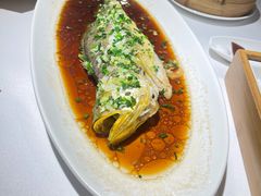 -鹿园 MOOSE(长宁店)