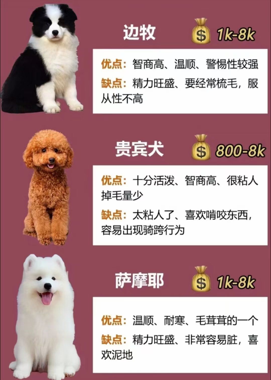 哈希娱乐- 哈希游戏平台- 哈希游戏官方网站2015年10月自主轿车销量排行榜