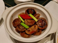 砂锅黑椒口蘑-祥记餐饮•豫粤珍味(金隅大厦店)