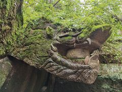 -汤旺河林海奇石景区