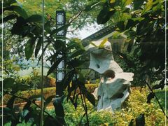 -广州神农草堂中医药博物馆