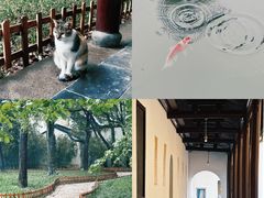 -西园寺