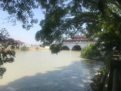 -大湾区中央湿地公园