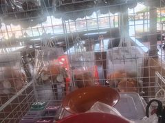 -蓝湾碧波·老字号·疍家非遗海上餐厅