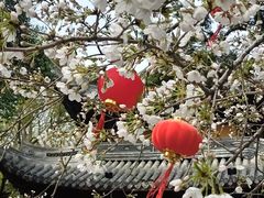 -龙华寺