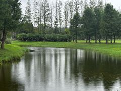 -黄海国家森林公园