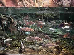-波塞冬海底世界